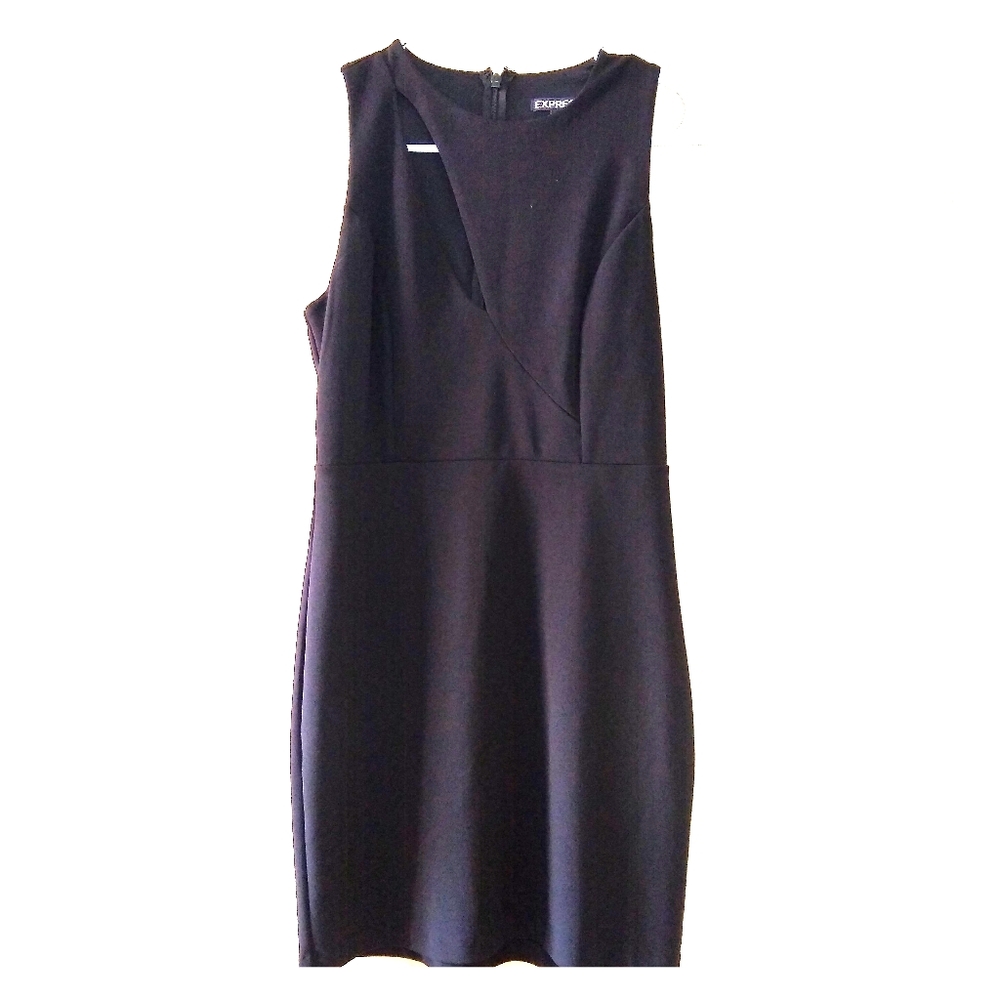 Black Express dress